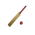 CRICKET BATS