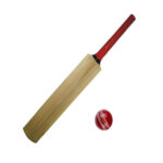 CRICKET BATS